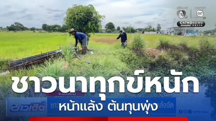 ชาวนาทุกข์ใจ ต้นทุนทำนาพุ่งหลังสภาพอากาศแล้งจัด จ.ขอนแก่น