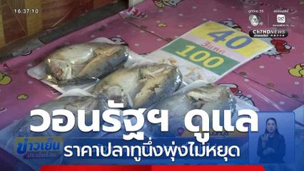 วอนรัฐฯ ดูแล ราคาปลาทูนึ่งพุ่งไม่หยุด