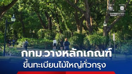 กทม.วางหลักเกณฑ์ ขึ้นทะเบียนคุ้มครองไม้ใหญ่ทั่วกรุง