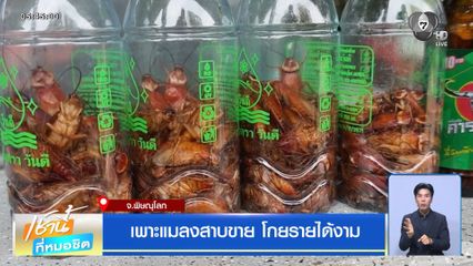 เพาะแมลงสาบขาย โกยรายได้งาม