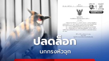 ราชกิจจานุเบกษา ประกาศยกเลิกการกำหนดให้ “นกปรอดหัวโขน” หรือ “นกกรงหัวจุก” เป็นสัตว์ป่าคุ้มครอง มีผลบังคับใช้ตั้งแต่ 1 ก.ย.69 เป็นต้นไป