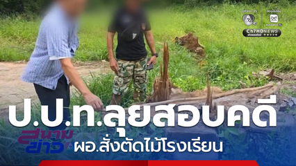 ป.ป.ท.ลุยสอบคดี ผอ.สั่งตัดไม้โรงเรียน