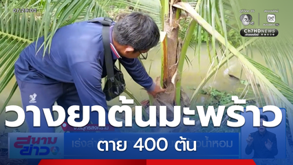เร่งล่ามือมืดวางยาต้นมะพร้าวน้ำหอม