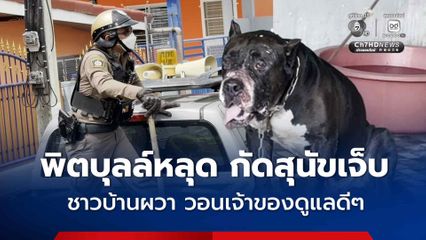 ชาวบ้านผวา สุนัขพิตบุลล์หลุดบ่อย หวั่นเกิดอันตรายกับเด็ก ผู้สูงอายุ