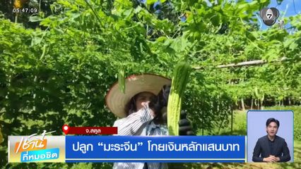 ปลูก มะระจีน โกยเงินหลักแสนบาท