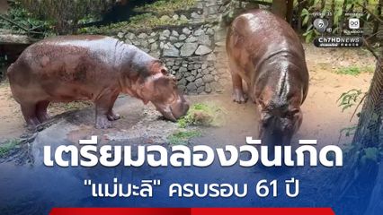สวนสัตว์เปิดเขาเขียว เตรียมฉลองวันเกิดใหญ่ “แม่มะลิ” ฮิปโปโปเตมัสขวัญใจมหาชน ครบรอบ 61 ปี
