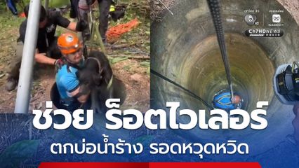 ระทึก สุนัขพันธุ์ร็อตไวเลอร์ ตกบ่อน้ำร้าง ความลึกกว่า 3 เมตร กู้ภัยโรยตัวช่วยเหลือรอดหวุดหวิด