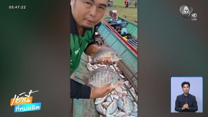 พบปลาหมอคางดำในเขื่อนลำปาว