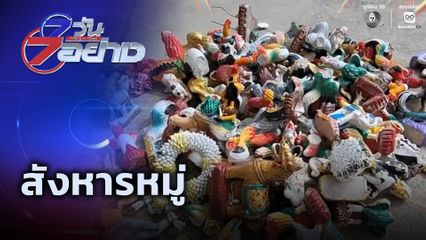 7 วัน 7 อย่าง : สังหารหมู่