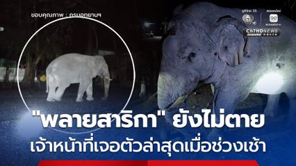 อช.เขาใหญ่ ยืนยัน “พลายสาริกา” ยังมีชีวิตอยู่ ส่วนข่าวบนโลกออนไลน์ที่ว่าตายนั้นเป็นเฟคนิวส์