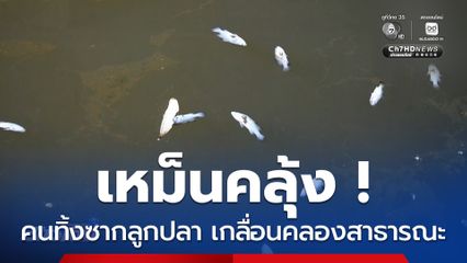 เหม็นคลุ้ง ! คนทิ้งซากลูกปลา เกลื่อนคลอง