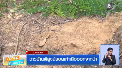ชาวบ้านพิสูจน์รอยเท้าเสือออกจากป่า จ.สกลนคร