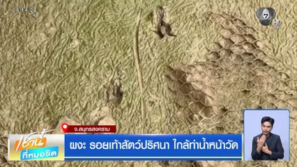 ผงะ รอยเท้าสัตว์ปริศนา ใกล้ท่าน้ำหน้าวัด