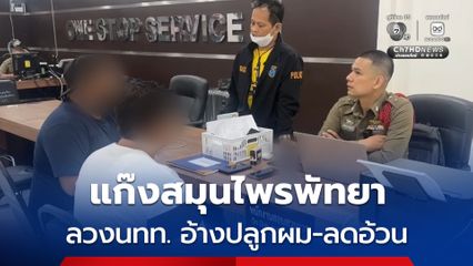 นทท.ชาวอินเดียเข้าแจ้งความตร. หลังถูกแก๊งสมุนไพรเมืองพัทยา ลวงเข้าร้าน อ้างสินค้าช่วยปลูกผม ช่วยลดความอ้วนได้ ก่อนเรียกเก็บเงิน 11,000 บาท