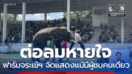 พลังโซเชียลฯ ต่อลมหายใจฟาร์มจระเข้ฯ