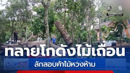ทลายโกดังแปรรูปไม้เถื่อน จ.เชียงราย