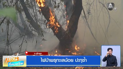 ไฟป่าพรุทะเลน้อย ปะทุซ้ำ จ.พัทลุง