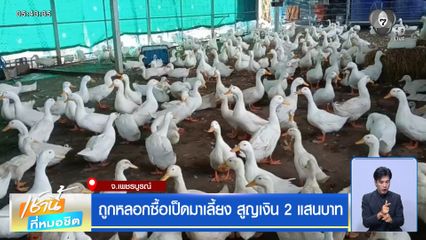 ถูกหลอกซื้อเป็ดมาเลี้ยง สูญเงิน 2 แสนบาท