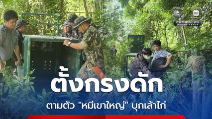 ชุดเคลื่อนที่เร็วติดกรงดักหมี บุกเล้าไก่ชาวบ้านนาดี เฝ้าระวัง 24 ชม.