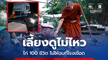 พระครูอ๊อดยื่นมือช่วยไก่กว่า 100 ชีวิต เจ้าของเลี้ยงต่อไม่ไหว หวั่นไปจบที่โรงเชือด