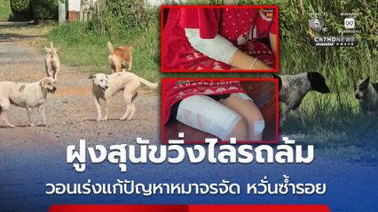 หวั่นเกิดเหตุซ้ำ! พ่อสาว 17 ปี วอนเร่งแก้ปัญหาสุนัขจรจัด หลังฝูงสุนัขวิ่งไล่จนรถลูกสาวล้ม เย็บ 40 เข็ม