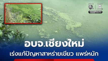 อบจ.เชียงใหม่ เร่งแก้ไขปัญหาสาหร่ายเขียวแพร่หนัก ส่งผลให้คุณภาพน้ำต่ำลง  และส่งกลิ่นเหม็นคาว กระทบกับระบบนิเวศในบึงน้ำ