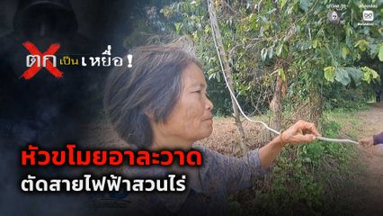 ตกเป็นเหยื่อ : หัวขโมยอาละวาด ตัดสายไฟฟ้าสวนไร่