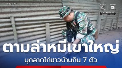 ตามล่าหมีเขาใหญ่กินไก่ชาวบ้าน