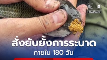 ศาลปกครองกลาง พิพากษาให้กรมประมง ทำแผนระงับยับยั้งการระบาดของ “ปลาหมอคางดำ” ภายใน 180 วัน
