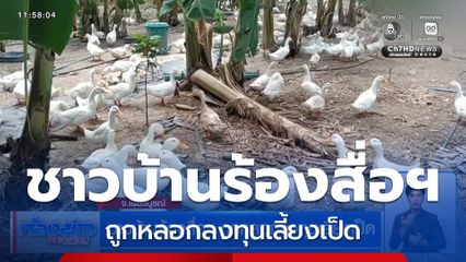 ชาวบ้านร้องสื่อฯ ถูกหลอกลงทุนเลี้ยงเป็ด