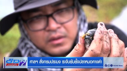 ศาลฯ สั่งกรมประมง ระงับยับยั้งปลาหมอคางดำ