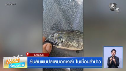 ยืนยันพบปลาหมอคางดำ ในเขื่อนลำปาว