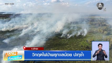 ฝนฟ้าอากาศเช้านี้ 8 ก.ย.69 | วิกฤตไฟป่าพรุทะเลน้อย ปะทุซ้ำ จ.พัทลุง