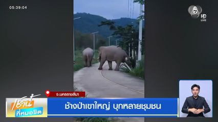 ช้างป่าเขาใหญ่ บุกหลายชุมชน