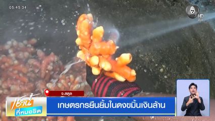 เกษตรกรยืนยิ้มในดงขมิ้นเงินล้าน