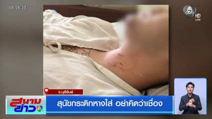 สุนัขกระดิกหางใส่ อย่าคิดว่าเชื่อง จ.บุรีรัมย์