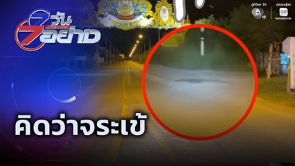 7 วัน 7 อย่าง : คิดว่าจระเข้