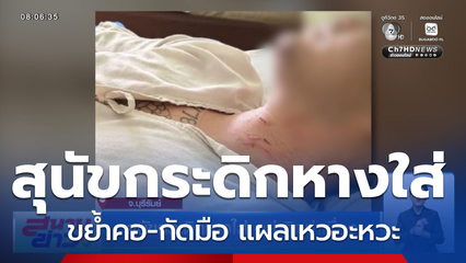 สุนัขกระดิกหางใส่ อย่าคิดว่าเชื่อง จ.บุรีรัมย์