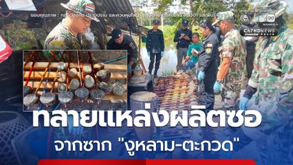 ทลายแหล่งผลิต “ซอ-กลองกันตรึม” จากซากงูเหลือม งูหลาม ตะกวด ในจังหวัดสุรินทร์