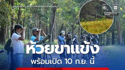 เขตรักษาพันธุ์สัตว์ป่าห้วยขาแข้ง พร้อมเปิดให้นักท่องเที่ยวเข้าศึกษาธรรมชาติ 10 ก.ย. นี้ ย้ำปฏิบัติตามมาตรการความปลอดภัยเคร่งครัด