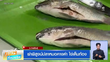 ผ่าพิสูจน์ปลาหมอคางดำ ไข่เต็มท้อง จ.กาฬสินธุ์