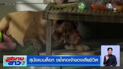 สลด "เจ้าไจแอนท์" สุนัขแบนด็อก ขย้ำคอเจ้าของเสียชีวิต