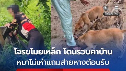 โจรย่ามใจย้อนขโมยเหล็กซ้ำ หมาเฝ้าบ้านต้อนรับอย่างมิตร สารภาพหาเงินซื้อยาบ้า