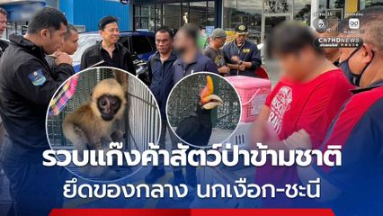 รวบแก๊งค้าสัตว์ป่าข้ามชาติ คาปั๊มน้ำมัน พร้อมของกลางเป็นสัตว์ป่าคุ้มครอง นกเงือกหัวแรด 1 ตัว ชะนี 1 ตัว