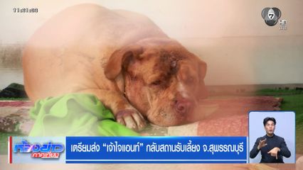 เตรียมส่ง “เจ้าไจแอนท์” กลับสถานรับเลี้ยง จ.สุพรรณบุรี