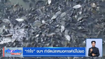 "ทำใจ" งบฯ กำจัดปลาหมอคางดำมีไม่พอ
