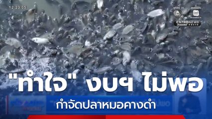 "ทำใจ" งบฯ กำจัดปลาหมอคางดำมีไม่พอ