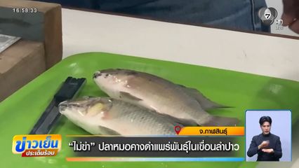 ไม่ขำ ปลาหมอคางดำแพร่พันธุ์ในเขื่อนลำปาว