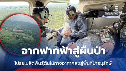 จากฟากฟ้าสู่ผืนป่า โปรยเมล็ดพันธุ์ต้นไม้ทางอากาศลงสู่พื้นที่ป่าอนุรักษ์