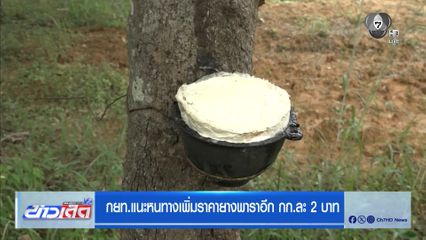 กยท. แนะหนทางเพิ่มราคายางพาราอีก กก.ละ 2 บาท
